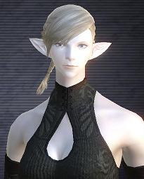 Elezen_Shader_2_s.jpg