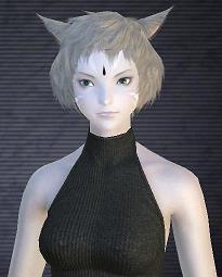 Miqote_KeepersOfTheMoon_s.jpg