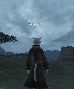 ff14_20100910_01_s.jpg