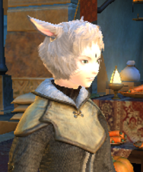 ff14_20101011_1s.png